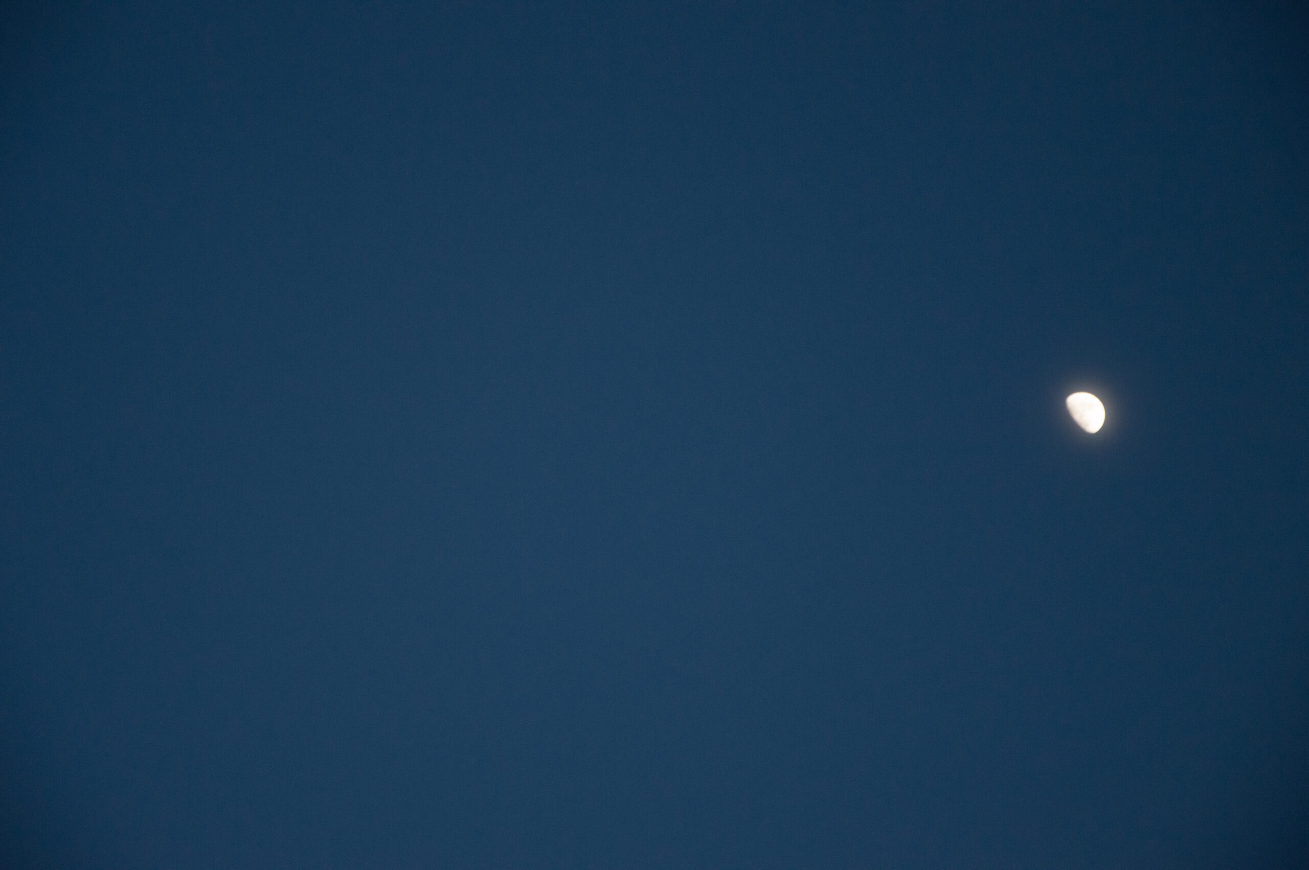 Foto de media lúa nunha noite sen nubes.