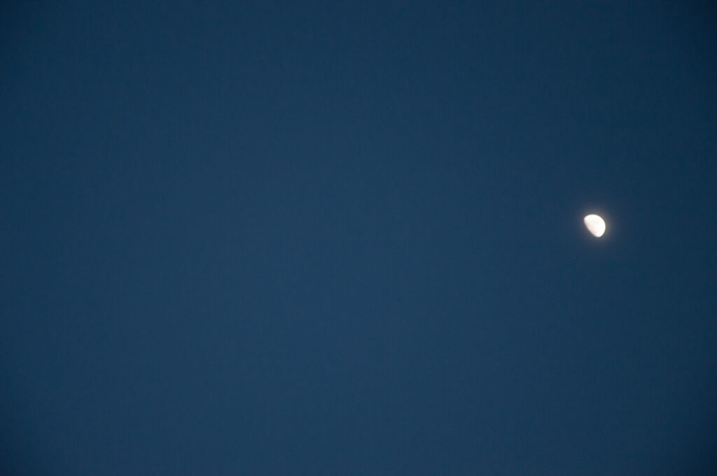 Foto de media lúa nunha noite sen nubes.
