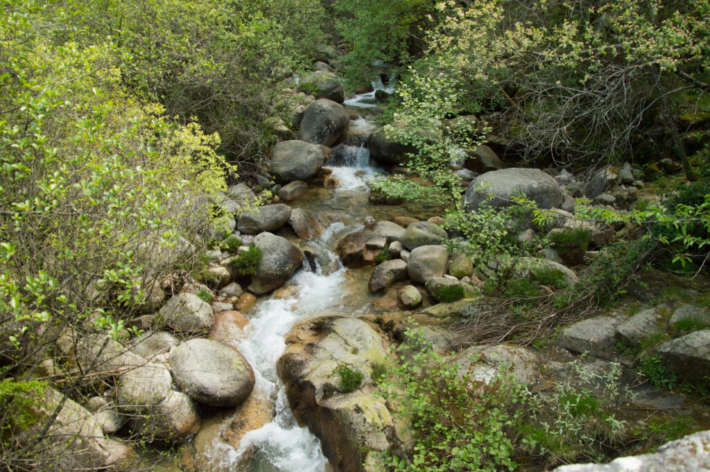 Foto dun regato caendo entre unhas pedras.